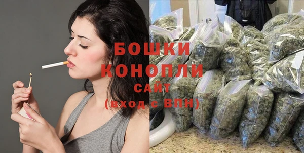 винт Нягань
